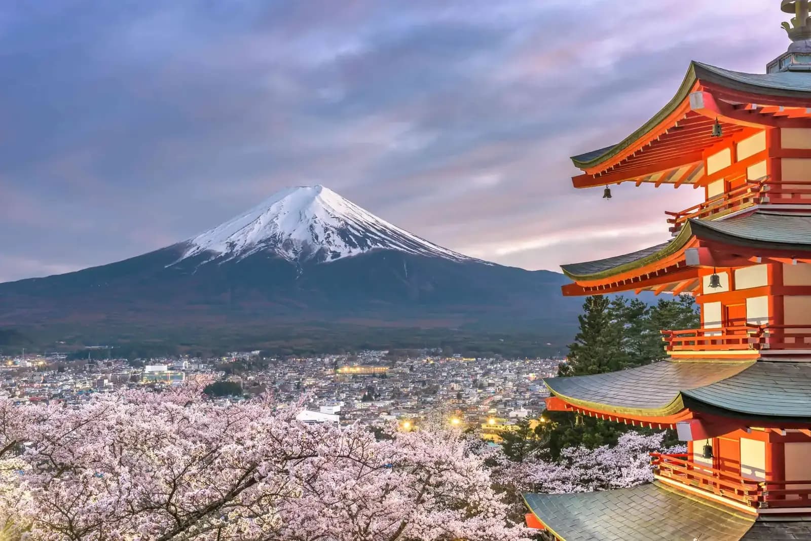 Mount Fuji framed by the Chureito Pagoda and cherry blossoms on a private Japan tour
