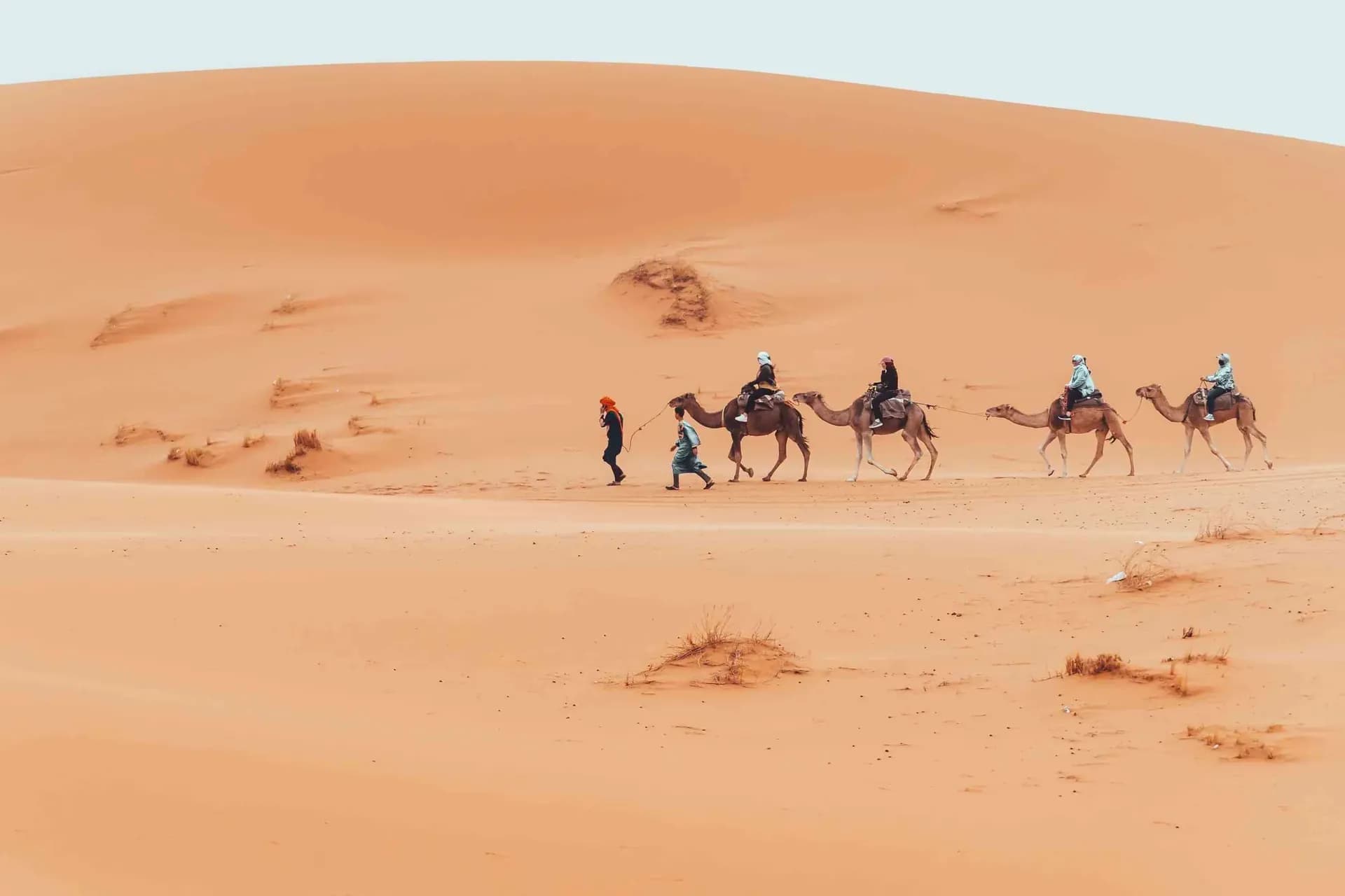 Camel caravan crossing the golden Sahara dunes at Erg Chebbi on a luxury Morocco tour
